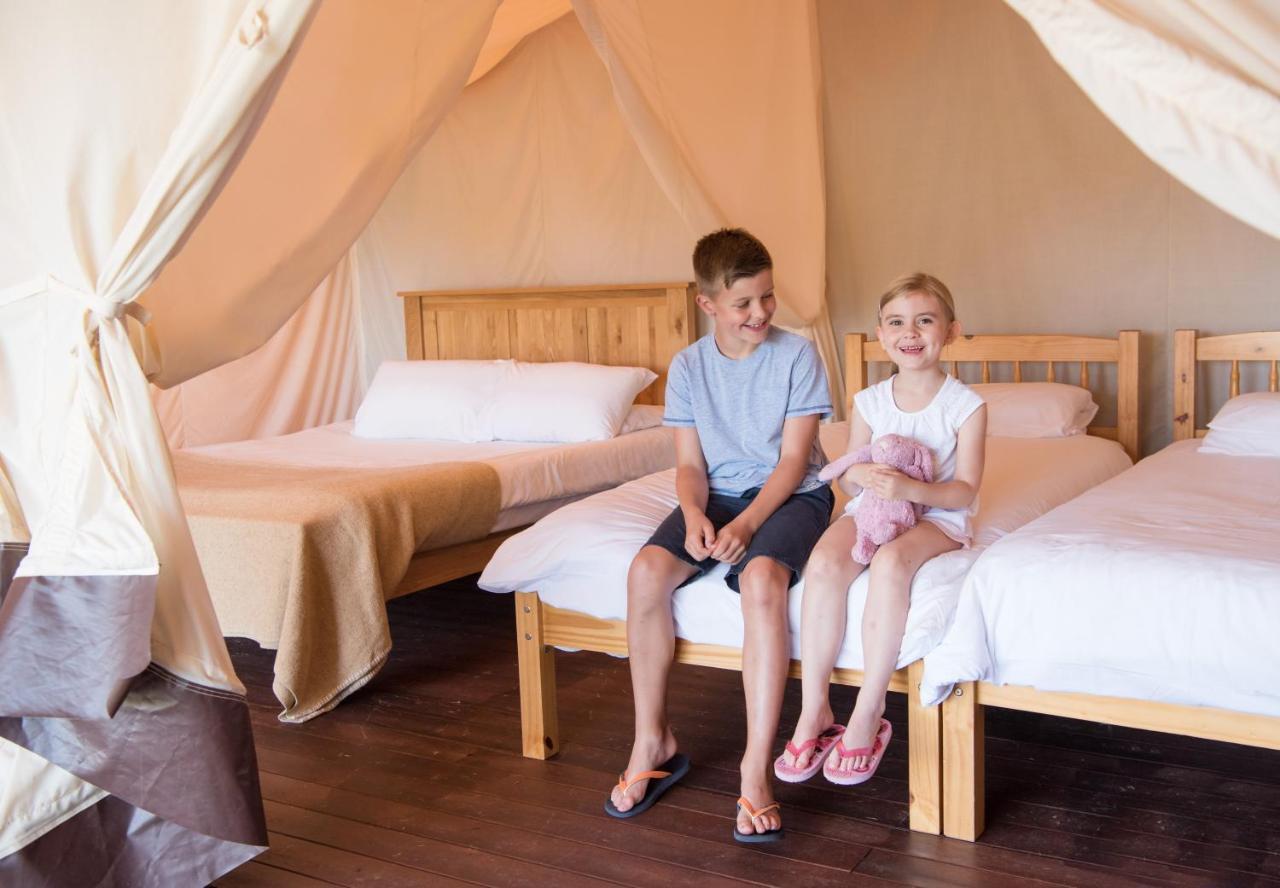 Trevella Holiday Park New Quay Zewnętrze zdjęcie